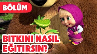 Maşa İle Koca Ayı 🪴 Bitkini nasıl eğitirsin 😋 Bölüm 99 Yeni bölüm 2024💥🎬 [upl. by Yeleak454]