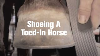 Farrier Quick Takes Dave Farley Shoeing A ToedIn Horse [upl. by Singh366]