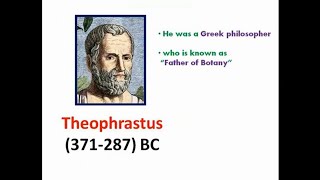 Theophrastus Father of Botany Biography [upl. by Ardaed69]