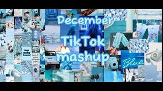 TikTok mashup December 2023 [upl. by Cirdla]