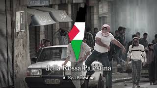 quotRossa Palestinaquot  Italian ProPalestinian Song [upl. by Larry331]