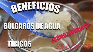 9 principios básicos para el cuidado del Kefir  búlgaros  tibicos [upl. by Heurlin]