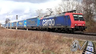 Trainspotting 309  4k60  SBB Cargo RE482 0254 mit KLV Zug [upl. by Iramo]