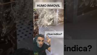 Humo inmóvil ¿Qué indica curiosidades supervivencia sabiasque [upl. by Afatsum996]