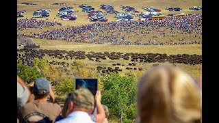 Buffalo Roundup Custer State Park South Dakota [upl. by Collie677]