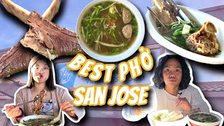 ULTIMATE VIET FOOD TOUR in San Jose CA Part 3 BEST PHO EDITION  Phở Papa  Phở Đào  Phở Hà Nội [upl. by Tichon220]