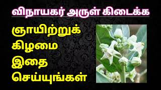 ஞாயிற்றுக்கிழமை இதை செய்யுங்கள்  Sunday Do it [upl. by Orsa135]