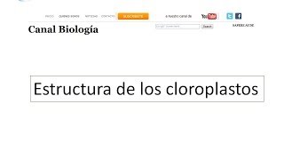 Estructura de los cloroplastos [upl. by Ardine766]