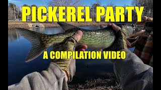 Pickerel Partya compilation video [upl. by Ahsilef]