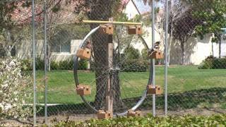 Ferris Wheel Bird Feeder [upl. by Asillam843]