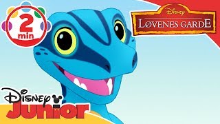 Løvenes Garde  Musikkvideo Gi en liten fyr en sjanse 🎵  Disney Junior Norge [upl. by Ephram909]