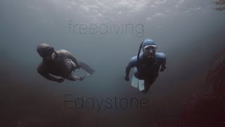 Freediving Eddystone [upl. by Donahue548]