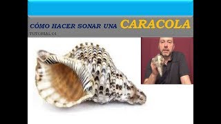 🐚Cómo hacer sonar una CARACOLA Bucio  Pututo  Tutorial 01  How to Play a Conch Shell [upl. by Gratianna]