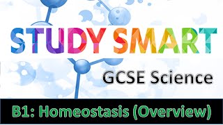 B1 Homeostasis Overview EDEXCELAQA [upl. by Saville]