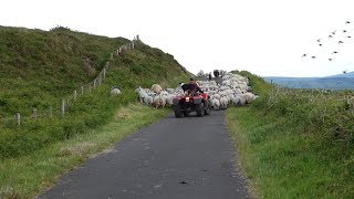 Rathlin Island [upl. by Naginarb]