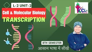 Transcription Process Initiation Elongation amp Termination  L3 Unit2 Cell amp Molecular Biology [upl. by Calie]