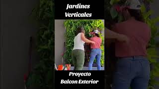 Aprende Jardinería Vertical jardin jardinesverticales plantas paisajismo diseño decoracion [upl. by Viquelia]