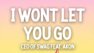 CEO of SWAG  I Wont Let You Go  SMOOTHLY LOOPED [upl. by Asilef]