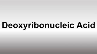 How to Pronounce Deoxyribonucleic Acid DNA [upl. by Reffotsirhc409]