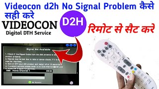 Videocon d2h No Signal Problem कैसे सही करे  D2H No Signal Problam सही करे  All Dish Info [upl. by Lleunamme]