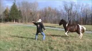 Parelli Horse Training  Amazing Liberty amp Trailer Loading [upl. by Jos]