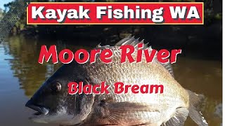 Kayak fishing  Moore River black bream Just north of Perth WA [upl. by Ettesus355]