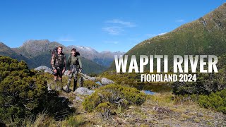 Fiordland Wapiti Hunting Adventure  2024 [upl. by Rachel286]