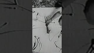 Jackson Pollock 1951  Restored Footage [upl. by Linda]