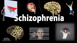 Schizophrenia Symptoms Cause Pathophysiology Diagnosis and Treatments Animation [upl. by Raney]