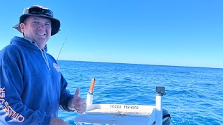 Reef Fishing Masthead Island Queensland Great Barrier Reef [upl. by Narib]