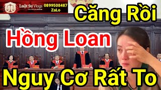 Hồng Loan Con Vũ Linh Gặp Nguy Hiểm Sau Khi Sóng Gió Xảy Ra  Luật Sư Vlogs [upl. by Anawd]