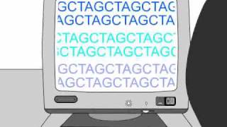 How to Sequence a Genome 11 Working Draft Sequence [upl. by Leunammi591]