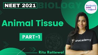 Animal Tissue  Part 1  NEET 2021  NEET Biology  Ritu Rattewal [upl. by Riatsala962]