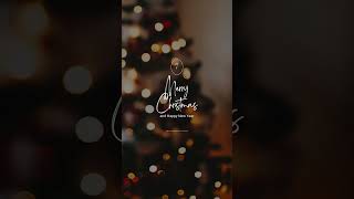 Best Canva Font Combinations for Your Christmas Designs  12 Aesthetic Canva Font Pairings [upl. by Jorgenson]