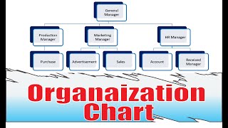 How to Create an organizational chart in ms word msword msoffice organizationchart [upl. by Belier]