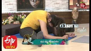 Upa Vishta Konasanam With Cusion  Upavistha Konasana  Yoga Asanas  Yoga Benefits [upl. by Uhn190]