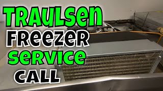 Traulsen Freezer Service Call [upl. by Derman]