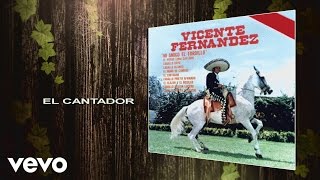 Vicente Fernández  El Cantador Cover Audio [upl. by Eanehs]