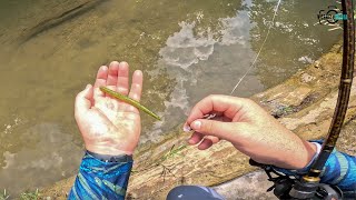 Fishing with a WACKY Rig for river BASS [upl. by Betti]