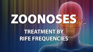 Zoonoses Zoonosis  RIFE Frequencies Treatment  Energy amp Quantum Medicine with Bioresonance [upl. by Rasecoiluj]