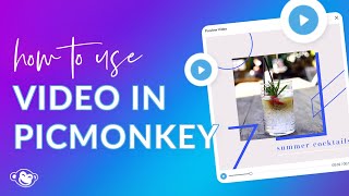 How to Use Video Clips in Your PicMonkey Designs [upl. by Sybley]