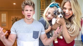 We got a new puppy Prank on Cole WEVE NEVER SEEN HIM THIS MAD [upl. by Yoho]