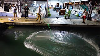 Catching BUCKETS of JUMBO Shrimp at the Miami Boat Show Catch Clean Cook On the DOCK [upl. by Ened370]