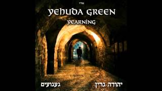 yehuda green havdala [upl. by Ayotna]