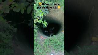 Bear Grylls early life  Man vs Wild  Bear Grylls in 😂🌿🌴 Hindi shortsviralshorts [upl. by Ahens]