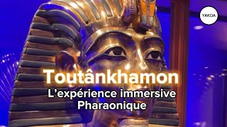 Toutânkhamon l’expérience immersive pharaonique aux Galeries Montparnasse [upl. by Hemetaf]