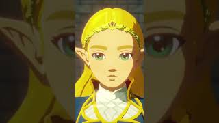 TERRAKO nintendo zelda gameplay videogames games game foryou funny shorts viral fyp [upl. by Osbourn]