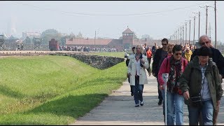 walking through auschwitz [upl. by Notsecnirp]