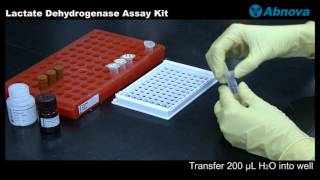 Lactate Dehydrogenase Assay Kit [upl. by Sivrat443]