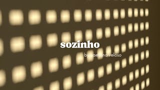 sozinho  caetano veloso cover [upl. by Anan]